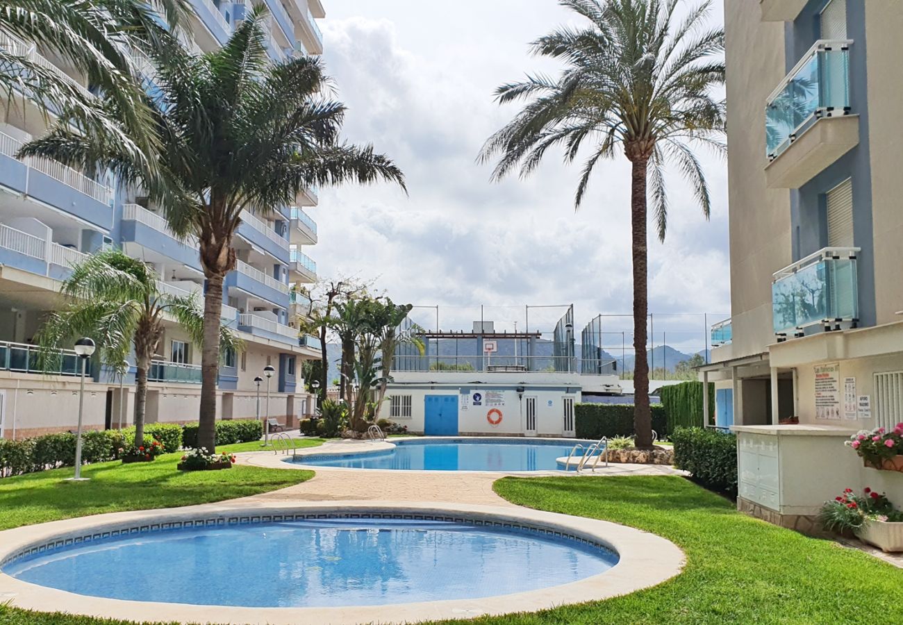 Apartamento en Gandia - PALMERAS III - 2 - 10º - C   /  PLAYA DE GANDIA