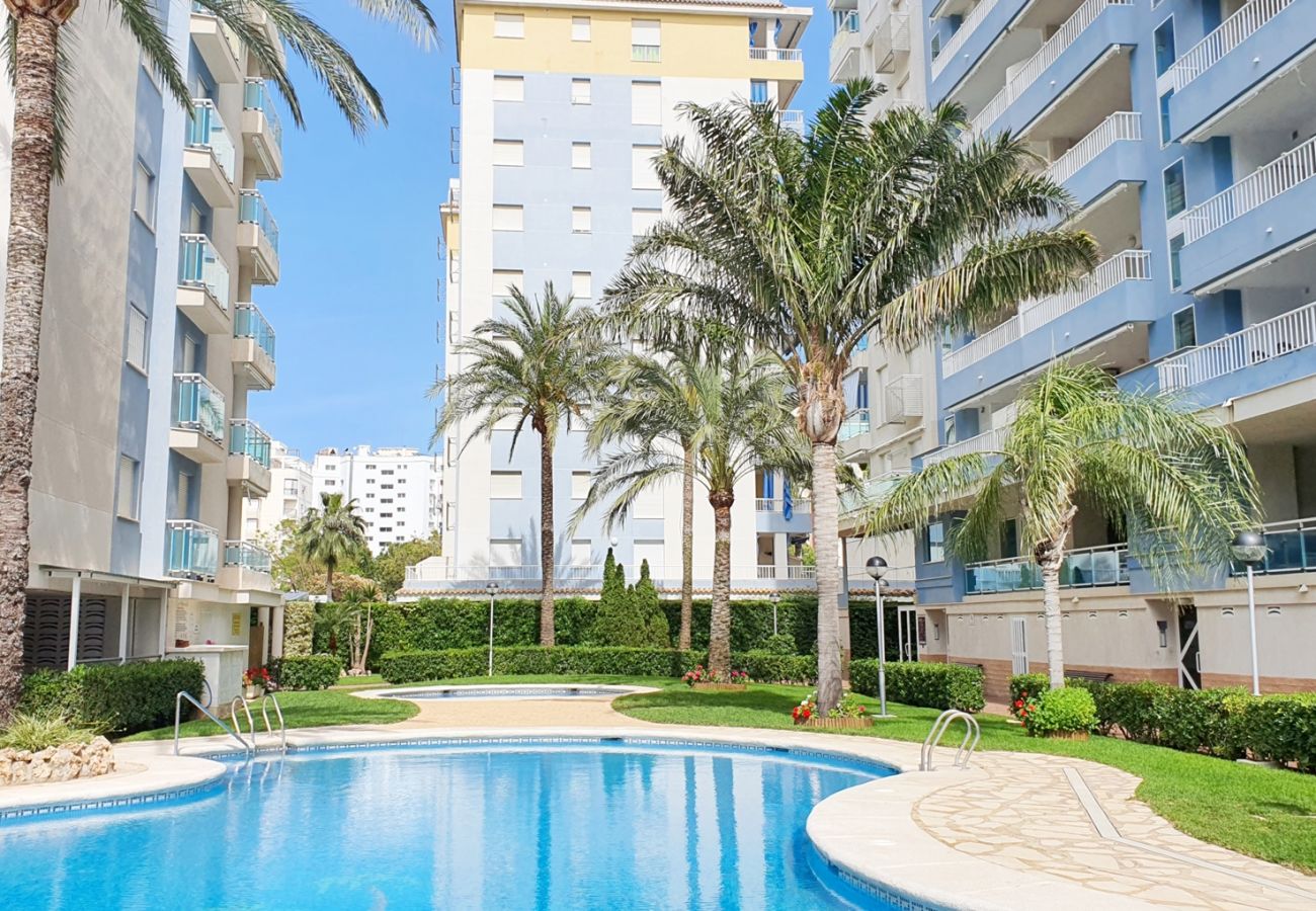 Apartamento en Gandia - PALMERAS III - 2 - 10º - C   /  PLAYA DE GANDIA