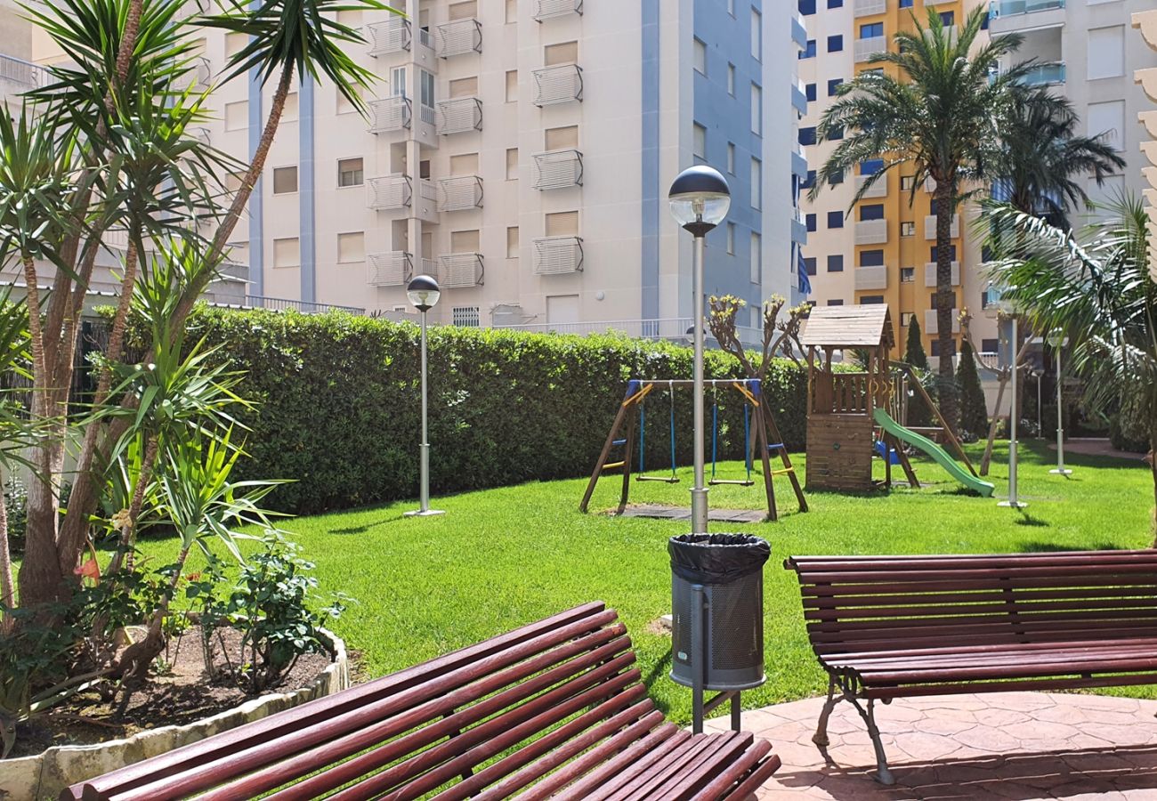 Apartamento en Gandia - PALMERAS III - 2 - 10º - C   /  PLAYA DE GANDIA