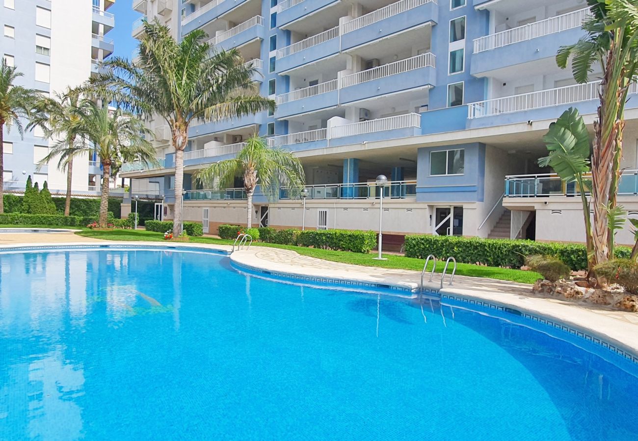 Apartamento en Gandia - PALMERAS III - 2 - 10º - C   /  PLAYA DE GANDIA