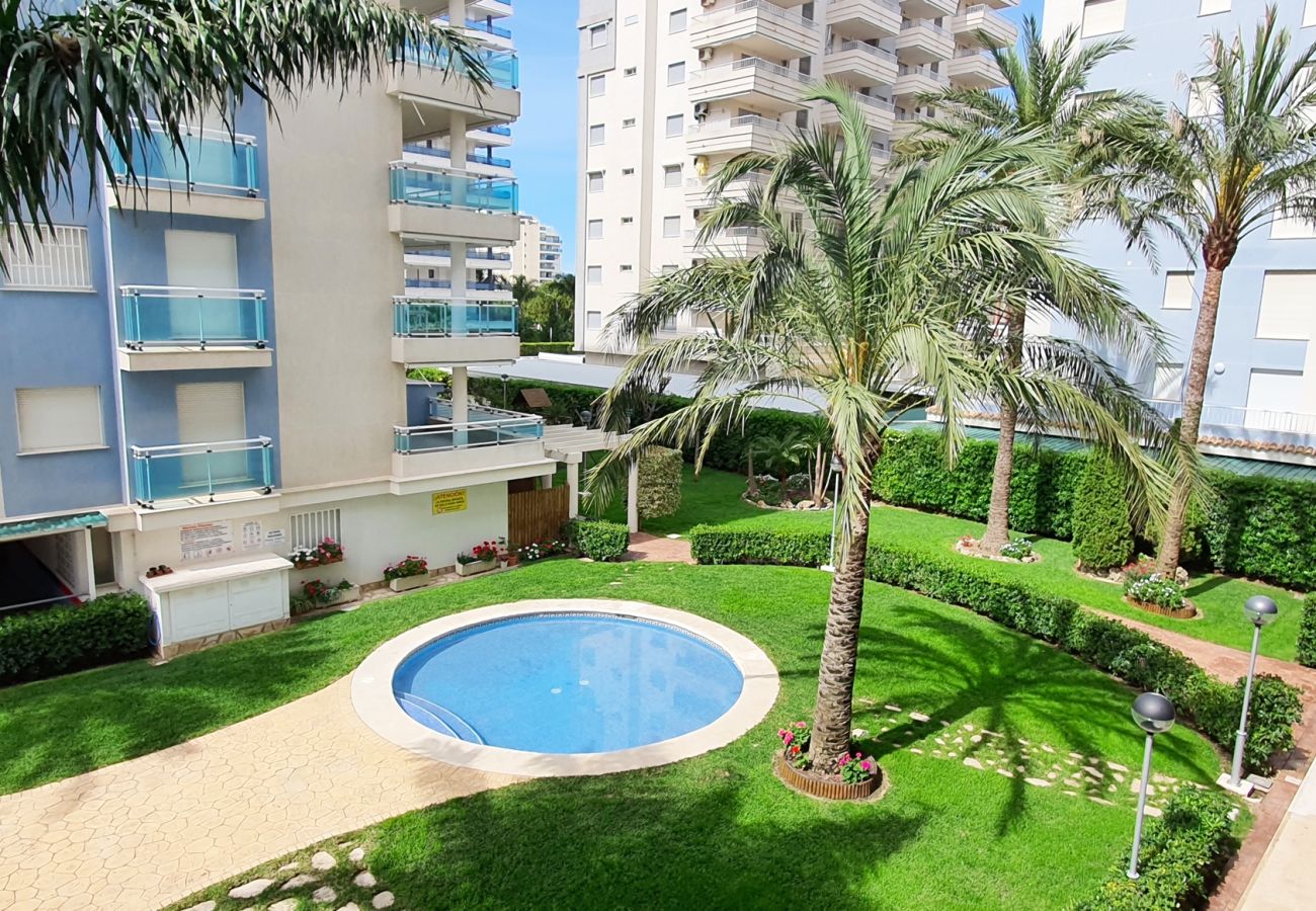 Apartamento en Gandia - PALMERAS III - 2 - 10º - C   /  PLAYA DE GANDIA