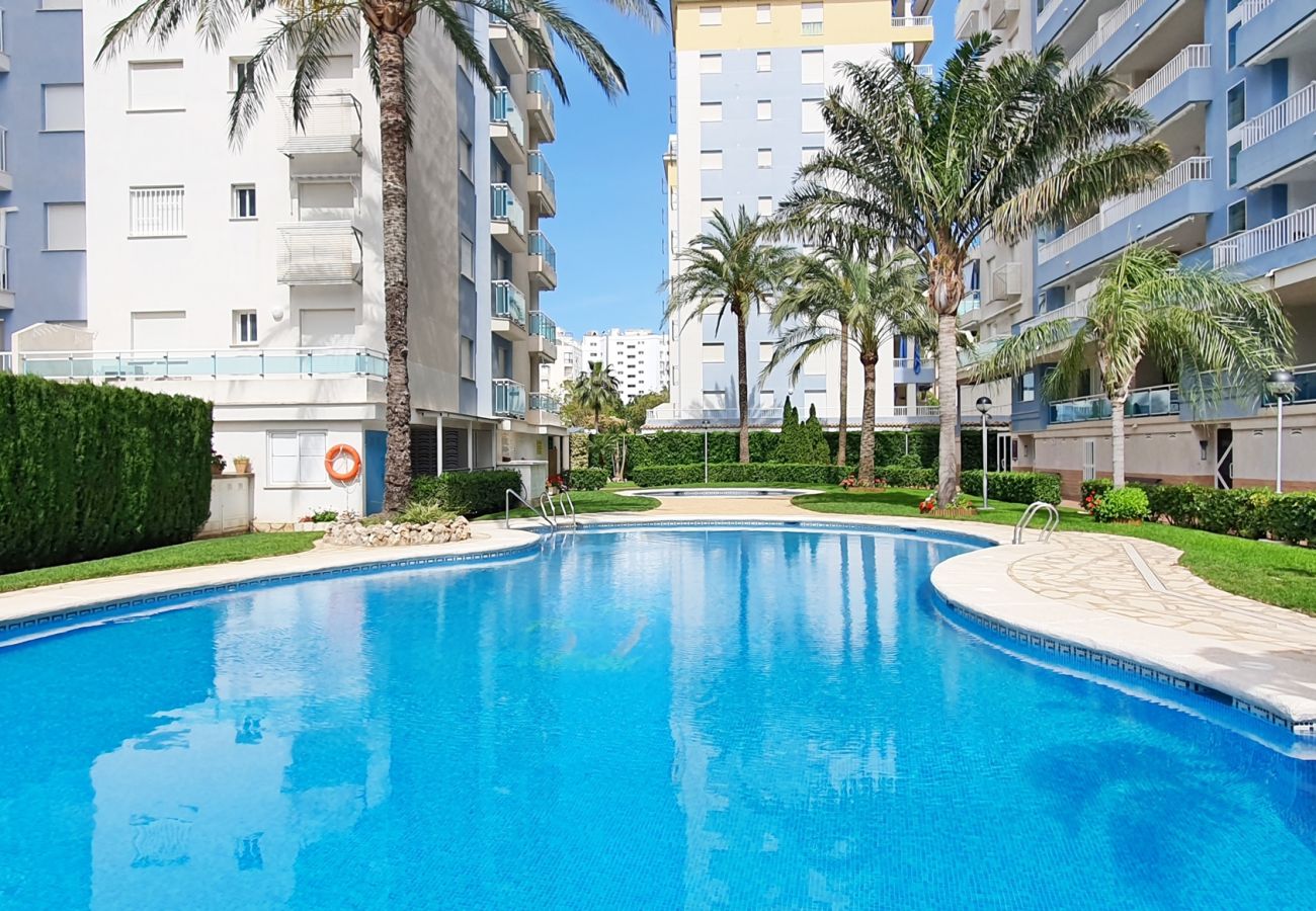 Apartamento en Gandia - PALMERAS III - 2 - 10º - C   /  PLAYA DE GANDIA