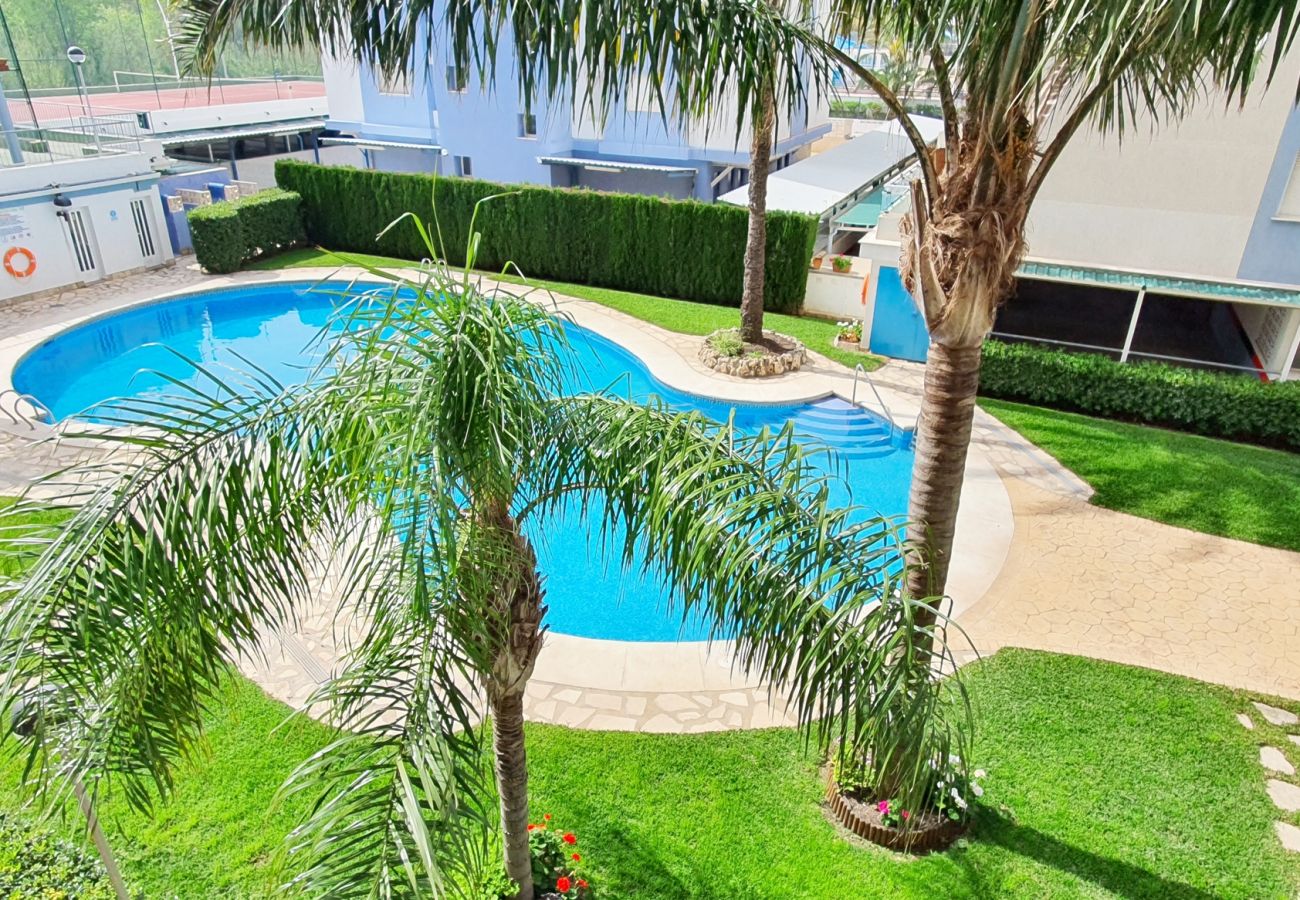 Apartamento en Gandia - PALMERAS III - 2 - 10º - C   /  PLAYA DE GANDIA