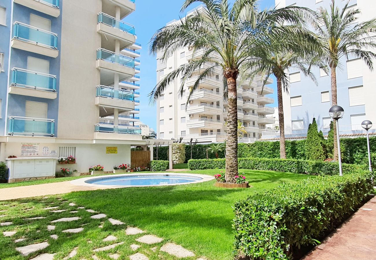 Apartamento en Gandia - PALMERAS III - 2 - 10º - C   /  PLAYA DE GANDIA