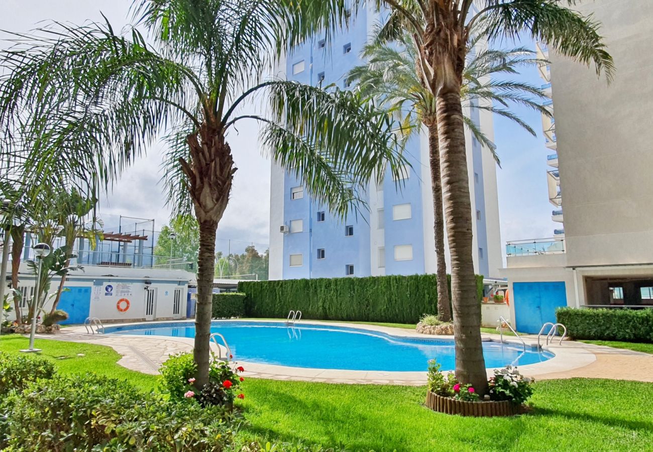 Apartamento en Gandia - PALMERAS III - 2 - 10º - C   /  PLAYA DE GANDIA