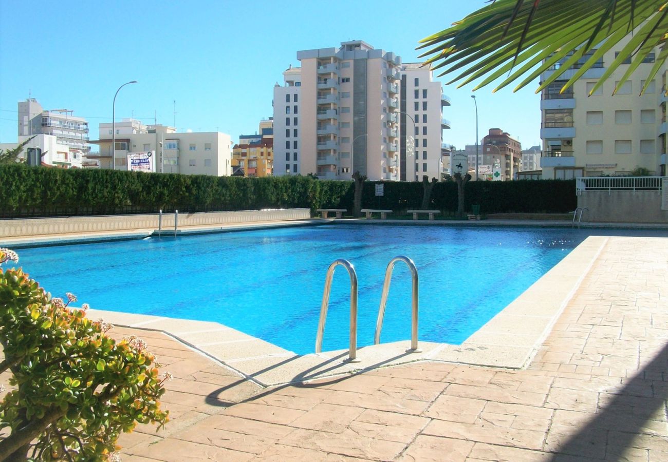 Apartamento en Gandia - PARQUE 8 - 3 - 4 - 8   /   PLAYA DE GANDIA