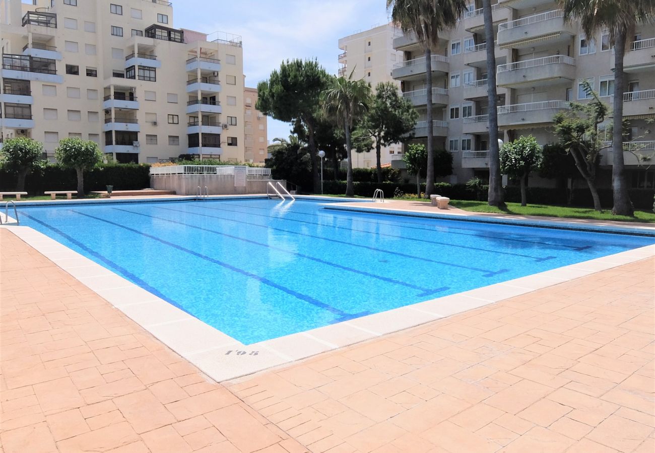 Apartamento en Gandia - PARQUE 8 - 3 - 4 - 8   /   PLAYA DE GANDIA