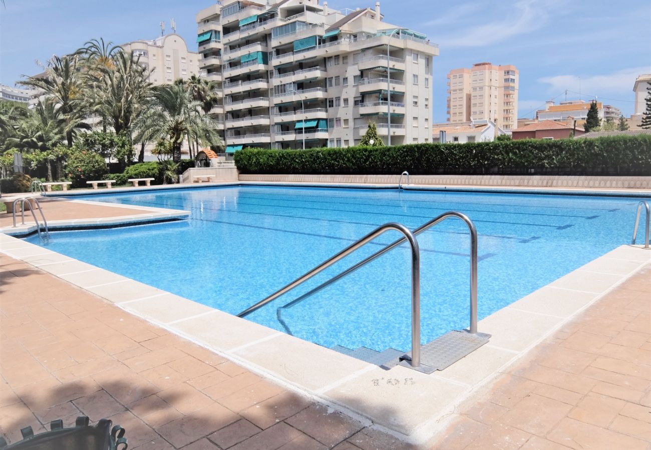 Apartamento en Gandia - PARQUE 8 - 3 - 4 - 8   /   PLAYA DE GANDIA