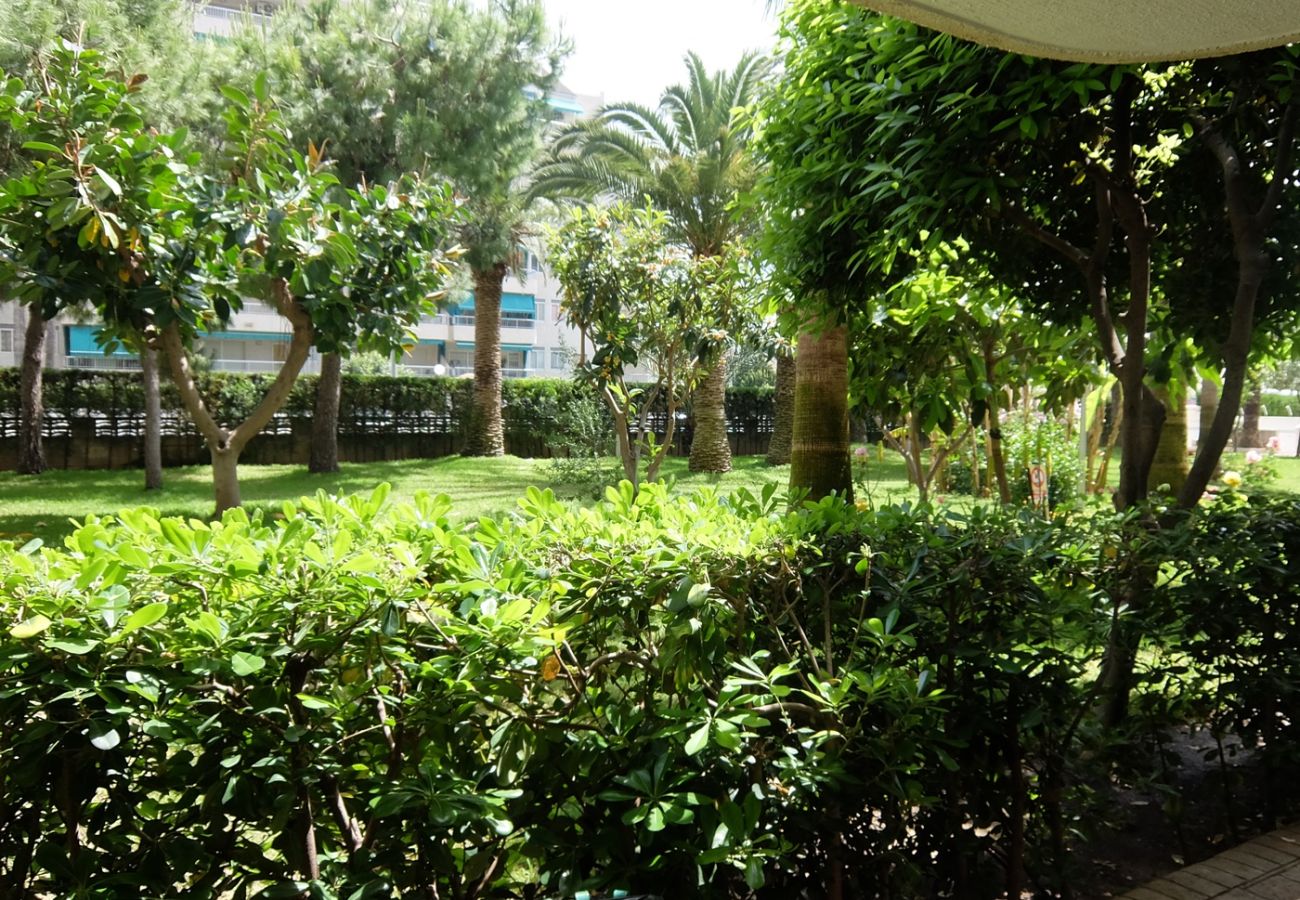 Apartamento en Gandia - PARQUE 8 - 3 - 4 - 8   /   PLAYA DE GANDIA