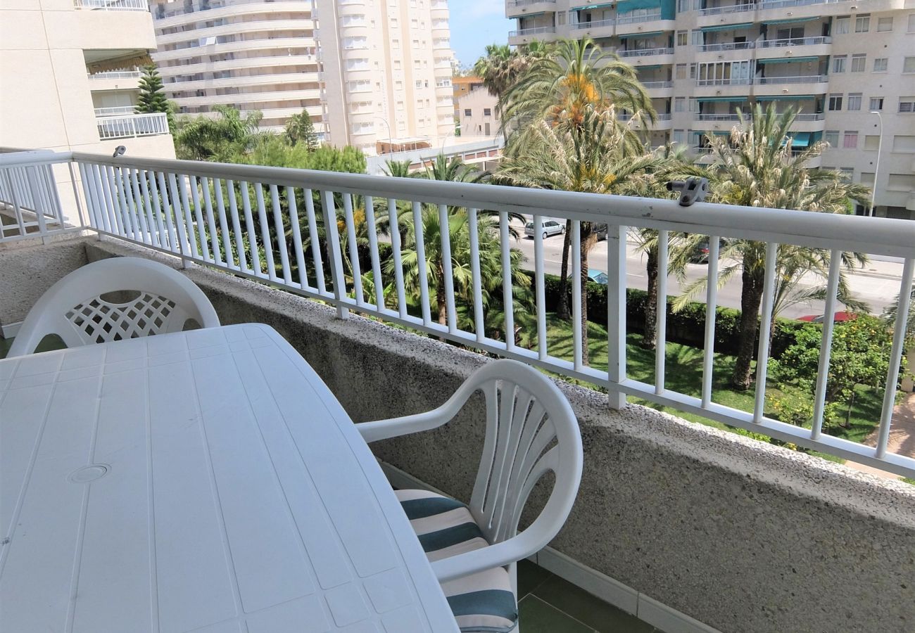 Apartamento en Gandia - PARQUE 8 - 3 - 4 - 8   /   PLAYA DE GANDIA