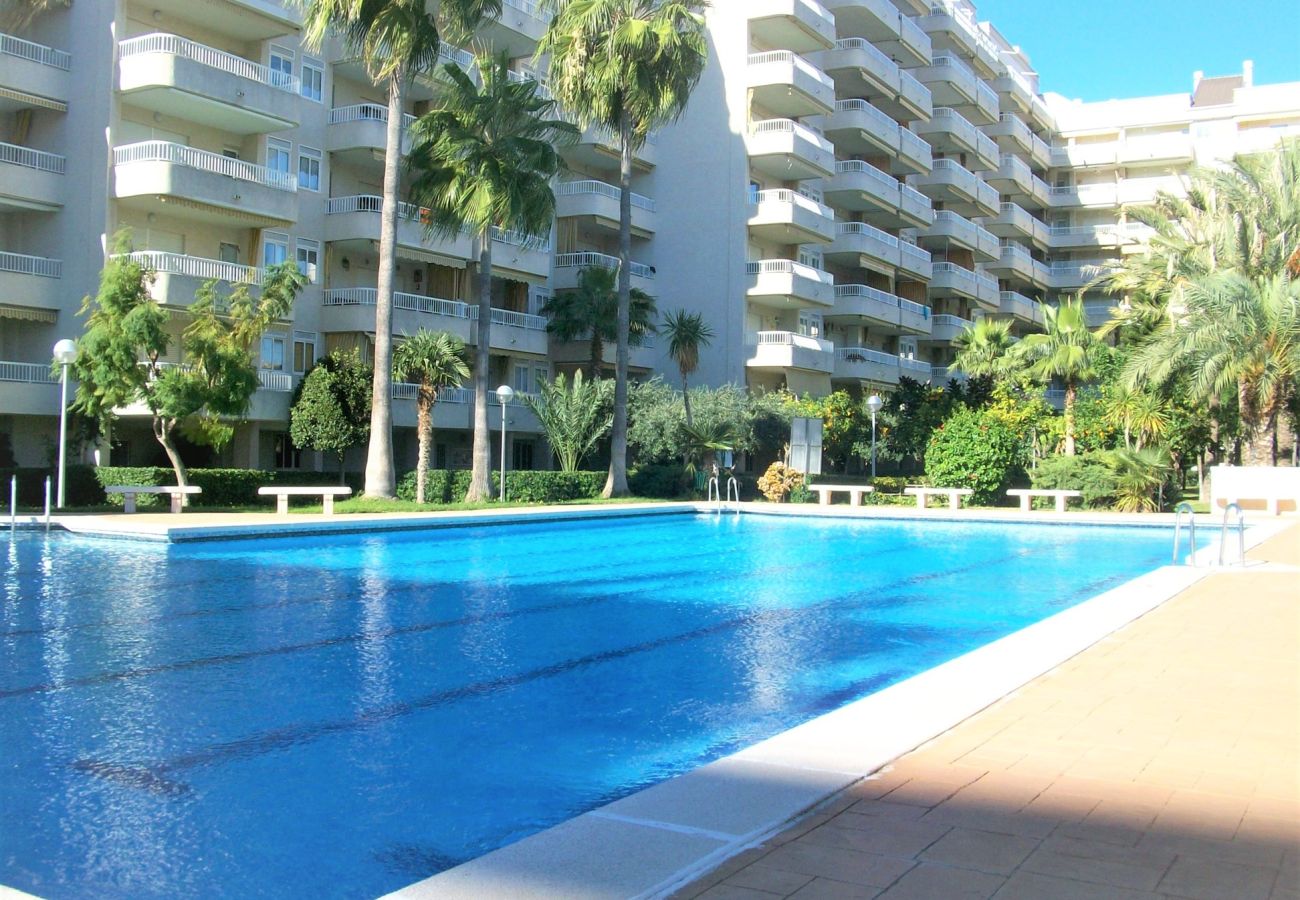Apartamento en Gandia - PARQUE 8 - 3 - 4 - 8   /   PLAYA DE GANDIA