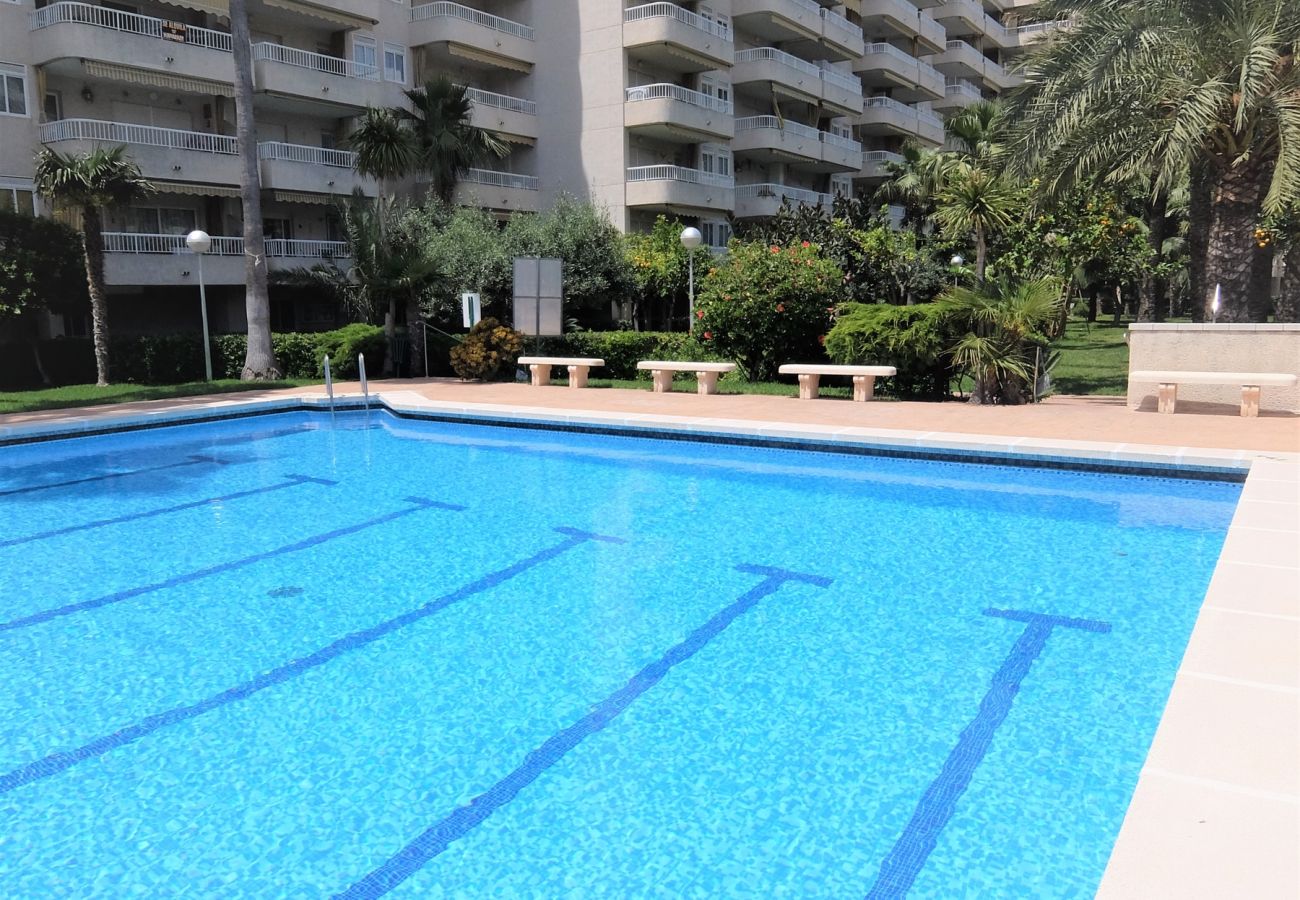 Apartamento en Gandia - PARQUE 8 - 3 - 4 - 8   /   PLAYA DE GANDIA