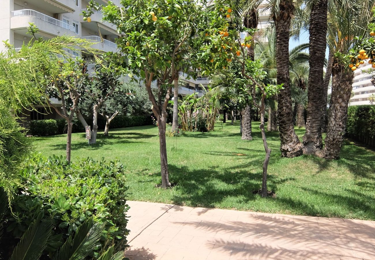 Apartamento en Gandia - PARQUE 8 - 3 - 4 - 8   /   PLAYA DE GANDIA