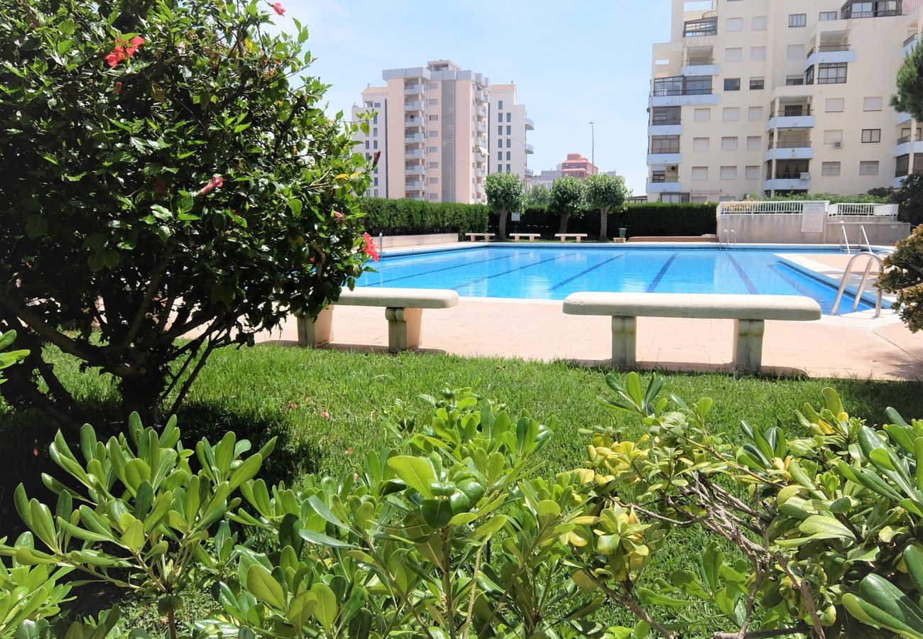 Apartamento en Gandia - PARQUE 8 - 3 - 4 - 8   /   PLAYA DE GANDIA