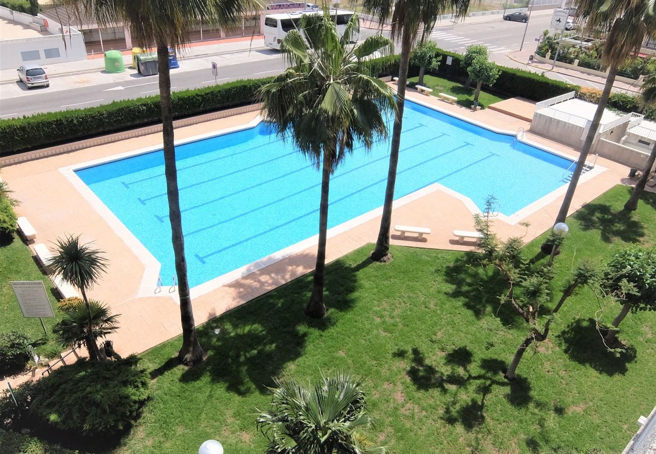 Apartamento en Gandia - PARQUE 8 - 3 - 4 - 8   /   PLAYA DE GANDIA