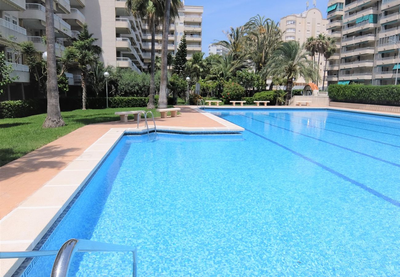 Apartamento en Gandia - PARQUE 8 - 3 - 4 - 8   /   PLAYA DE GANDIA