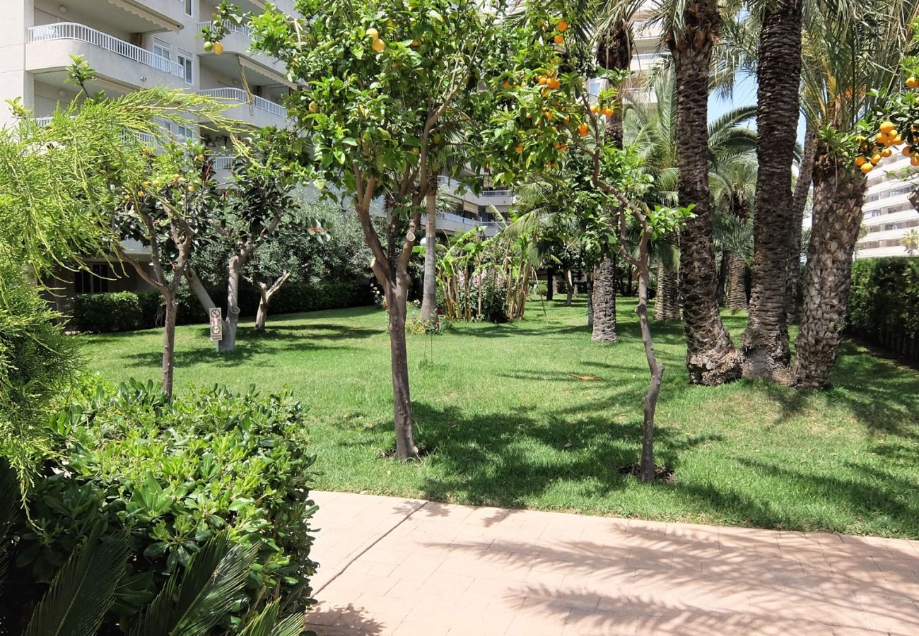 Apartamento en Gandia - PARQUE 8 - 9ª - 2º - 4ª    /   PLAYA DE GANDIA