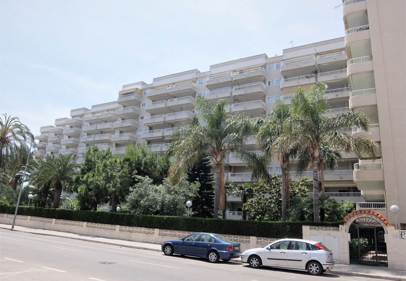 Apartamento en Gandia - PARQUE 8 - 9ª - 2º - 4ª    /   PLAYA DE GANDIA