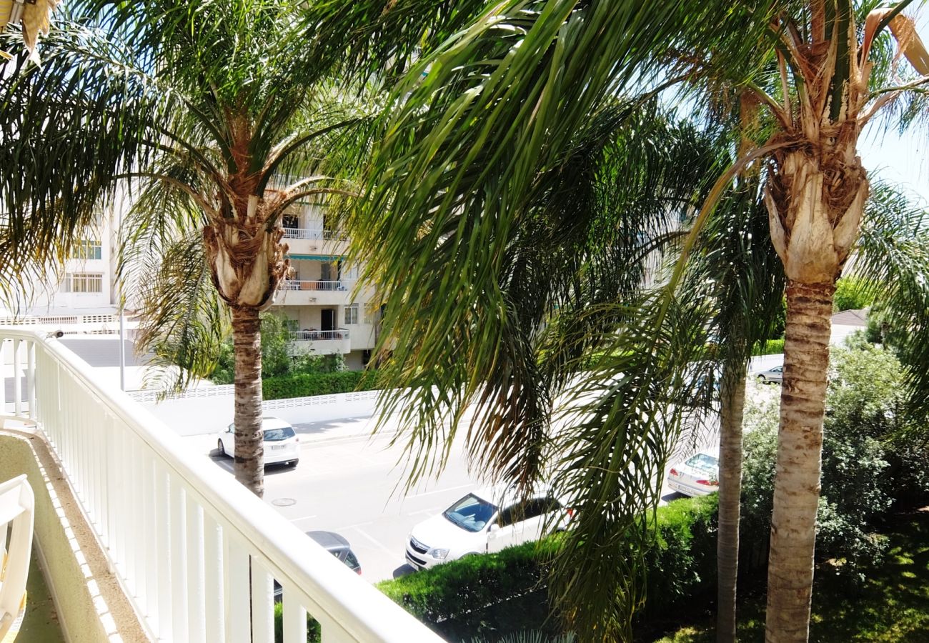 Apartamento en Gandia - PARQUE 8 - 9ª - 2º - 4ª    /   PLAYA DE GANDIA