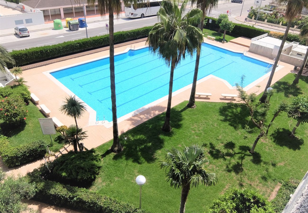 Apartamento en Gandia - PARQUE 8 - 9ª - 2º - 4ª    /   PLAYA DE GANDIA