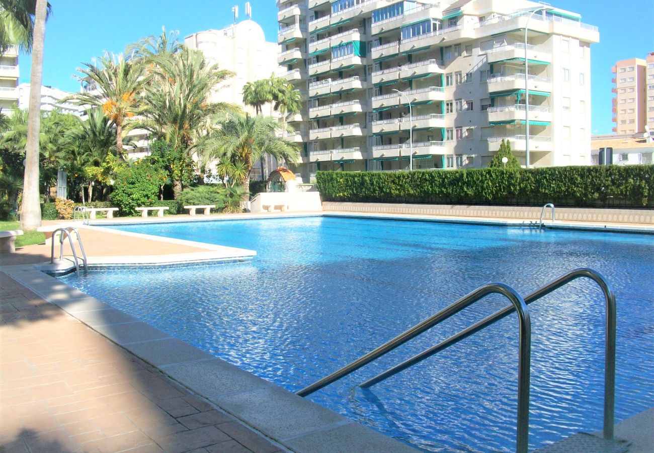 Apartamento en Gandia - PARQUE 8 - 9ª - 2º - 4ª    /   PLAYA DE GANDIA