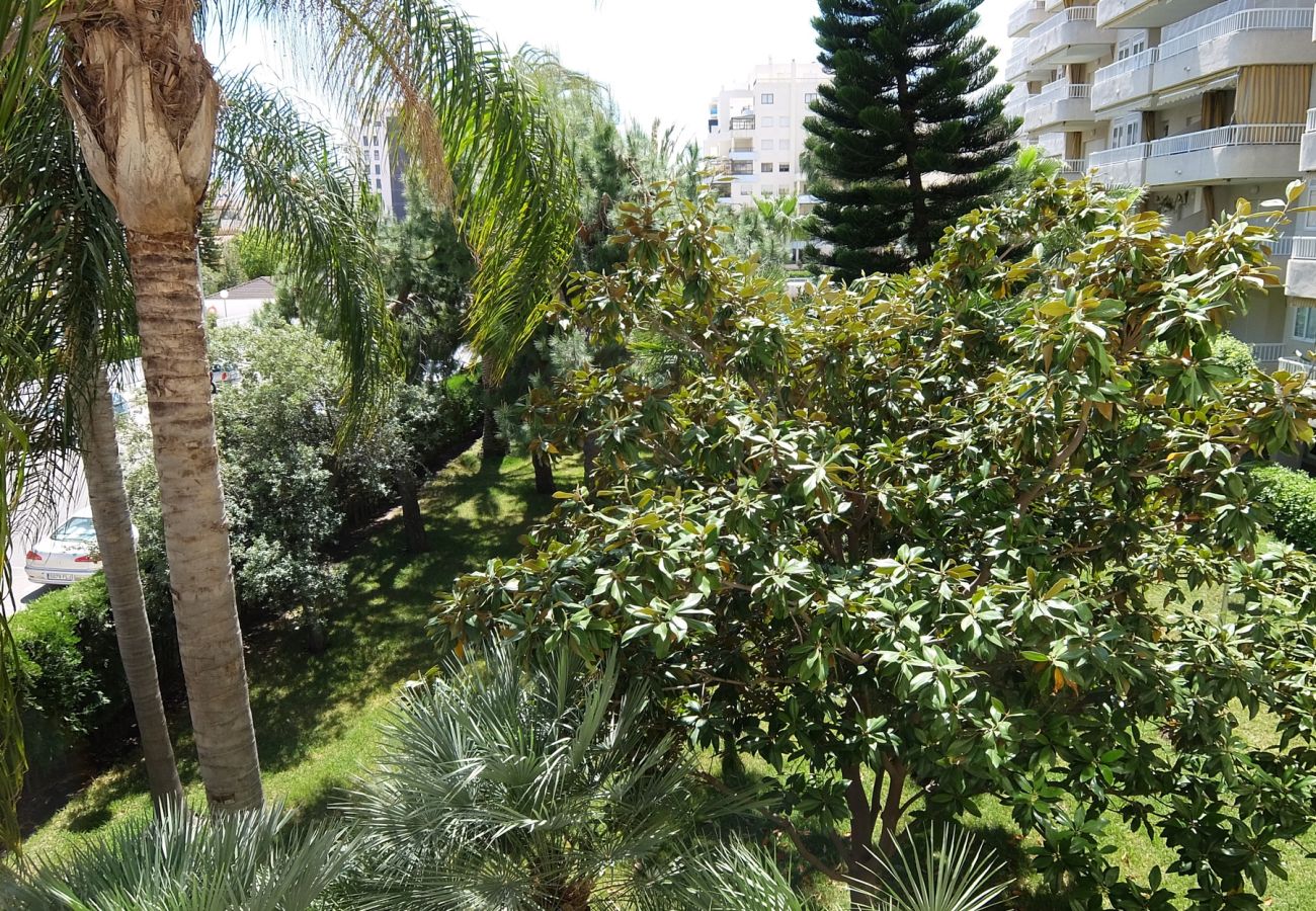 Apartamento en Gandia - PARQUE 8 - 9ª - 2º - 4ª    /   PLAYA DE GANDIA