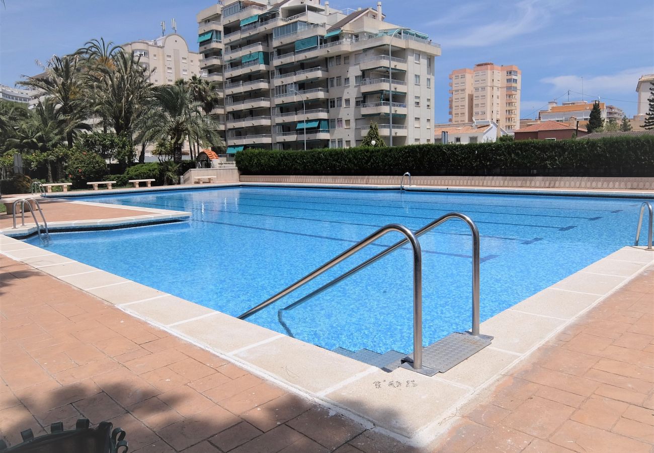 Apartamento en Gandia - PARQUE 8 - 9ª - 2º - 4ª    /   PLAYA DE GANDIA