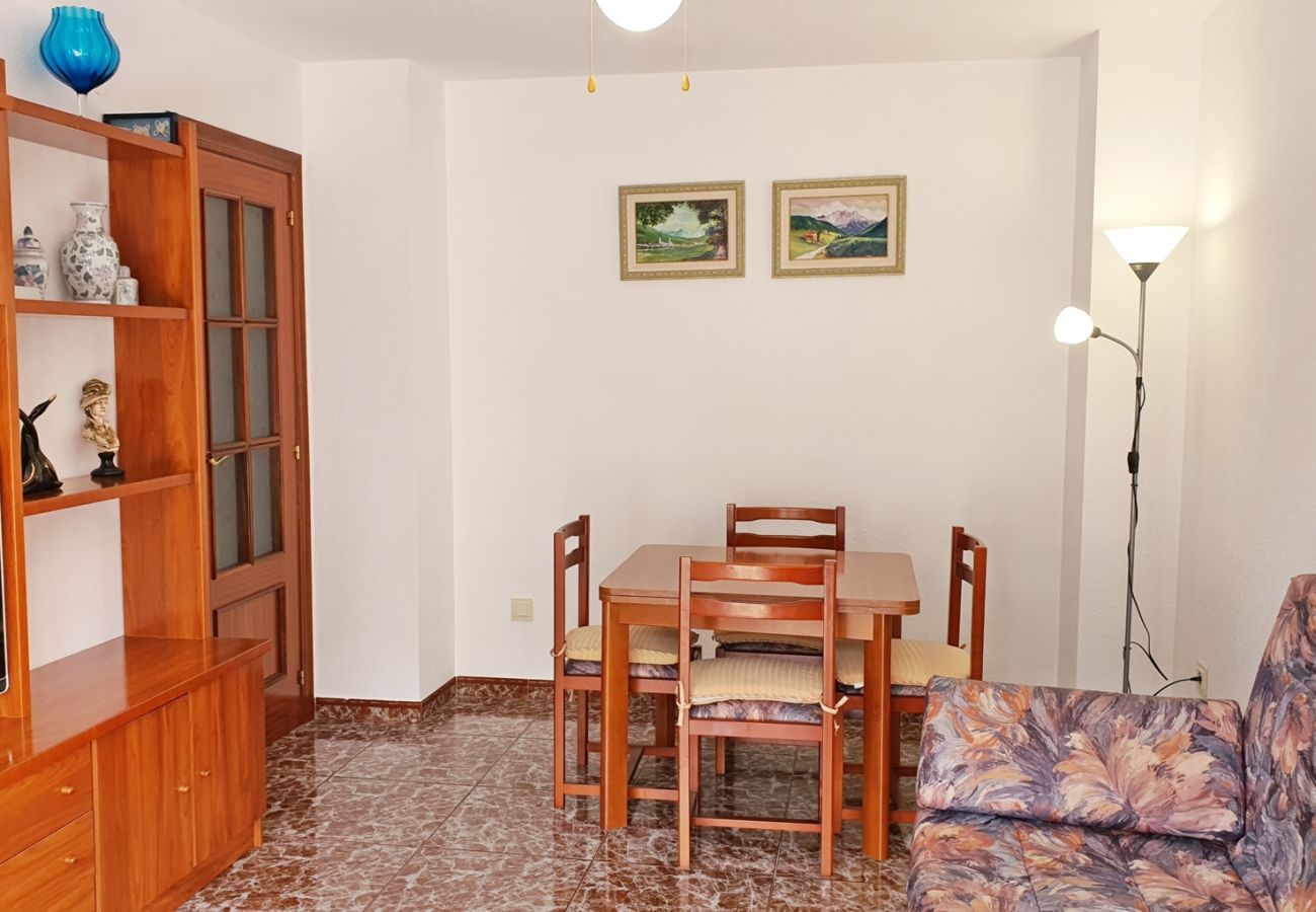 Apartamento en Gandia - AYALA 4º - 17ª    /   PLAYA DE GANDIA