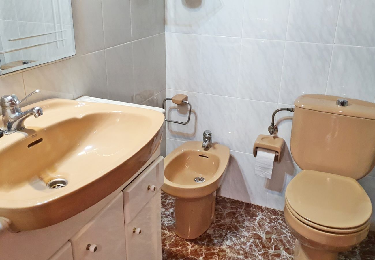 Apartamento en Gandia - AYALA 4º - 17ª    /   PLAYA DE GANDIA
