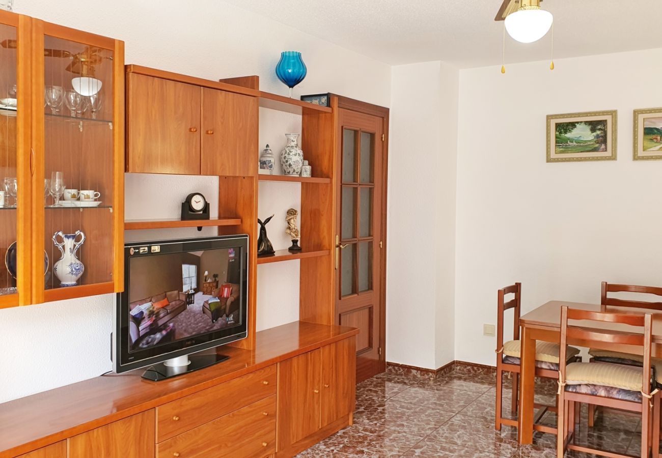 Apartamento en Gandia - AYALA 4º - 17ª    /   PLAYA DE GANDIA