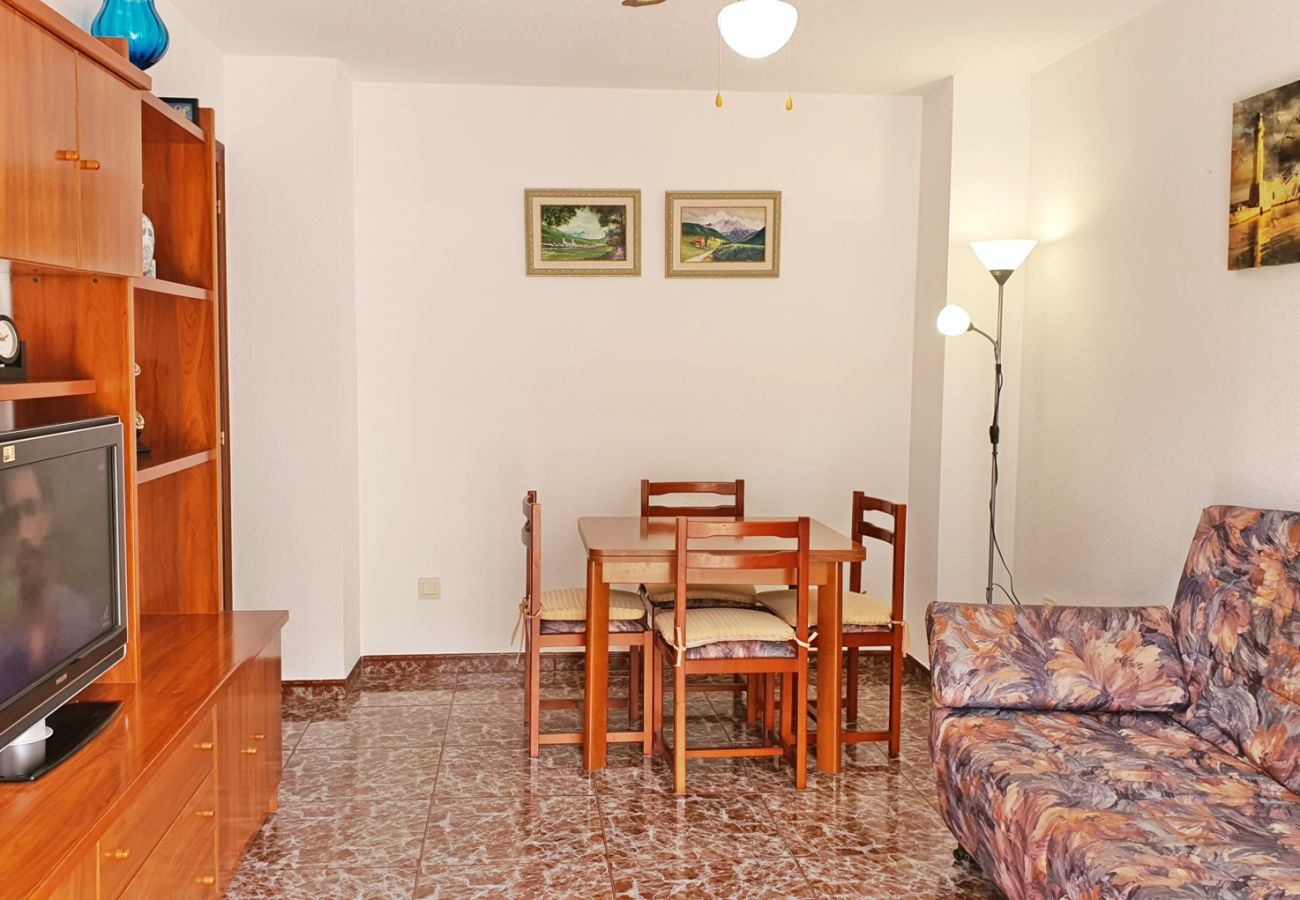 Apartamento en Gandia - AYALA 4º - 17ª    /   PLAYA DE GANDIA