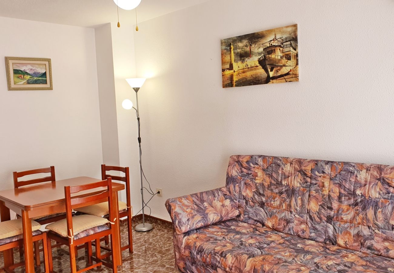 Apartamento en Gandia - AYALA 4º - 17ª    /   PLAYA DE GANDIA