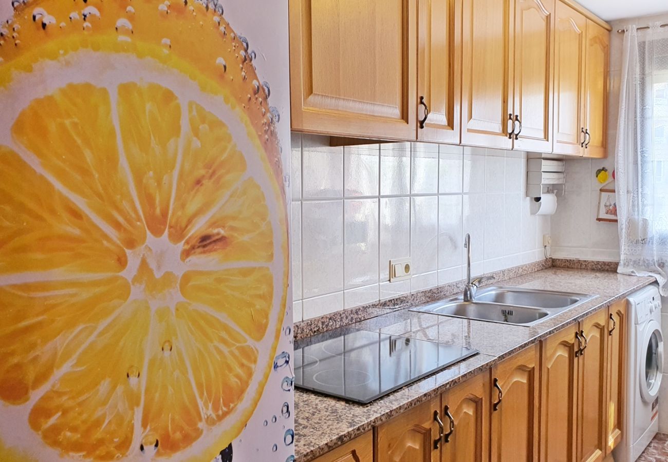 Apartamento en Gandia - AYALA 4º - 17ª    /   PLAYA DE GANDIA