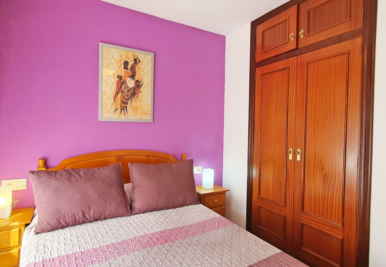 Apartamento en Gandia - AYALA 4º - 17ª    /   PLAYA DE GANDIA