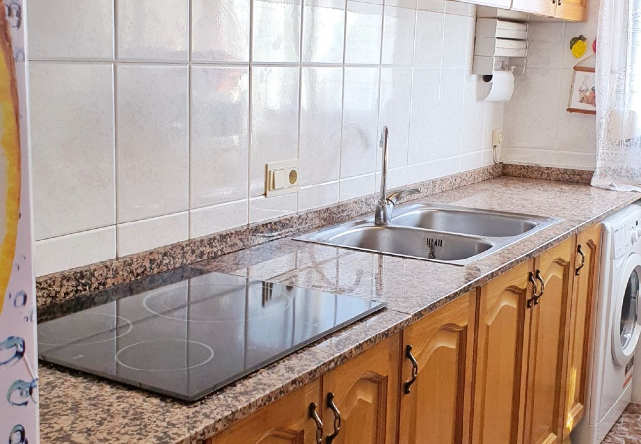 Apartamento en Gandia - AYALA 4º - 17ª    /   PLAYA DE GANDIA