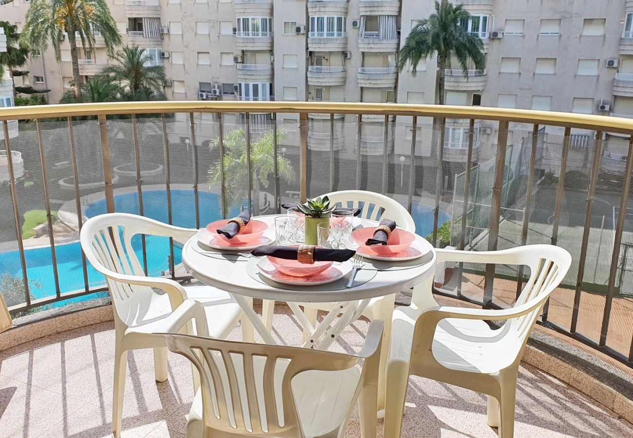 Apartamento en Gandia - AYALA 4º - 17ª    /   PLAYA DE GANDIA