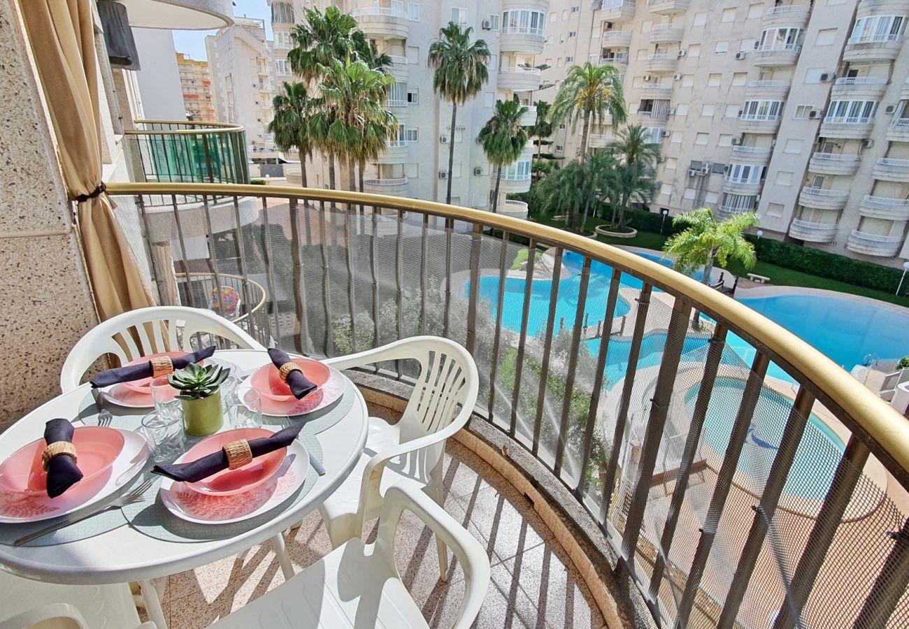 Apartamento en Gandia - AYALA 4º - 17ª    /   PLAYA DE GANDIA