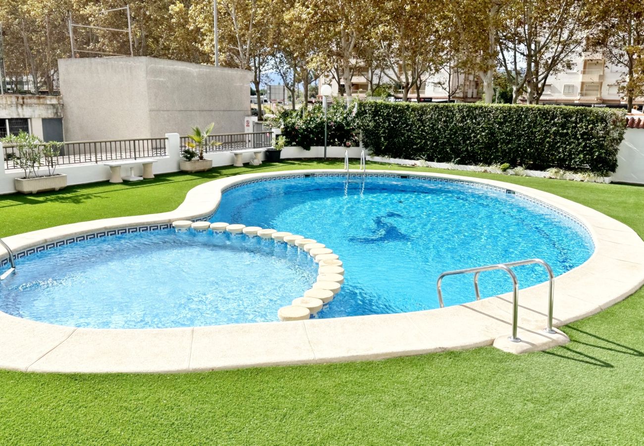 Apartamento en Gandia - AYALA 4º - 17ª    /   PLAYA DE GANDIA