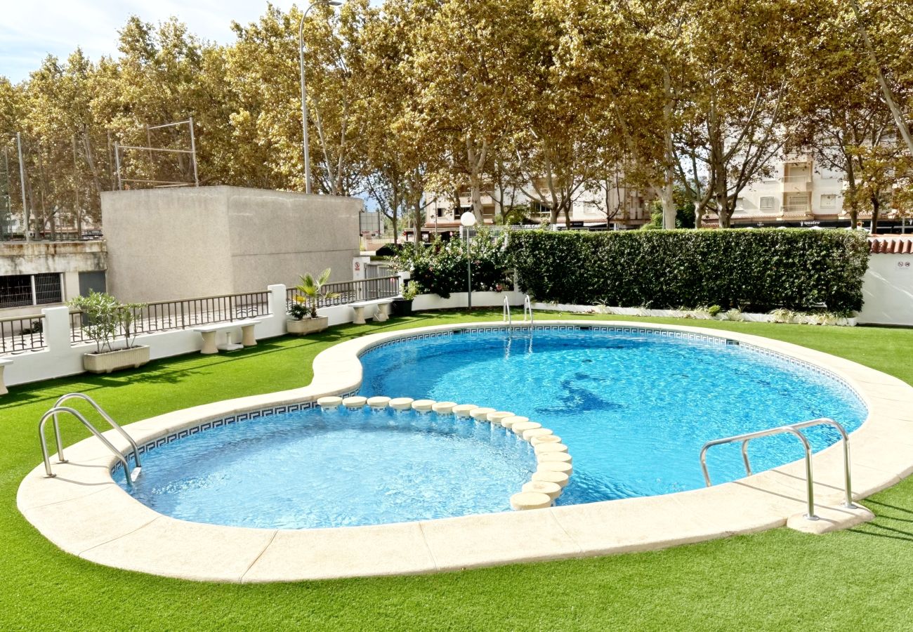 Apartamento en Gandia - AYALA 4º - 17ª    /   PLAYA DE GANDIA
