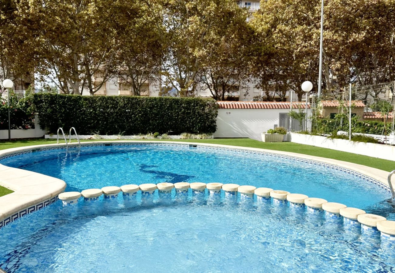Apartamento en Gandia - AYALA 4º - 17ª    /   PLAYA DE GANDIA