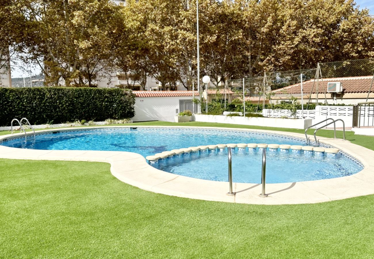 Apartamento en Gandia - AYALA 4º - 17ª    /   PLAYA DE GANDIA