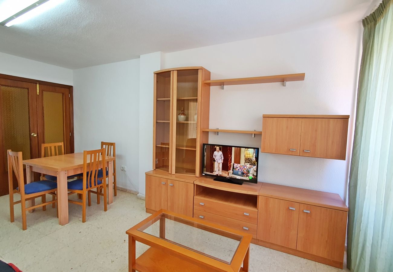 Apartamento en Gandia - GEMINIS Bl-B 3ª - 4º - D    /   PLAYA DE GANDIA