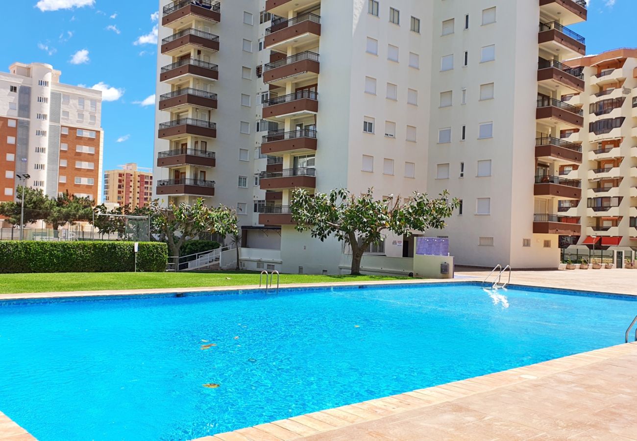 Apartamento en Gandia - GEMINIS Bl-B 3ª - 4º - D    /   PLAYA DE GANDIA