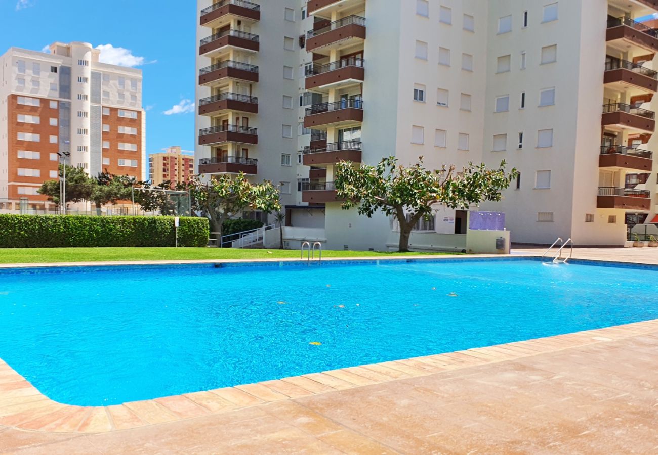 Apartamento en Gandia - GEMINIS Bl-B 3ª - 4º - D    /   PLAYA DE GANDIA