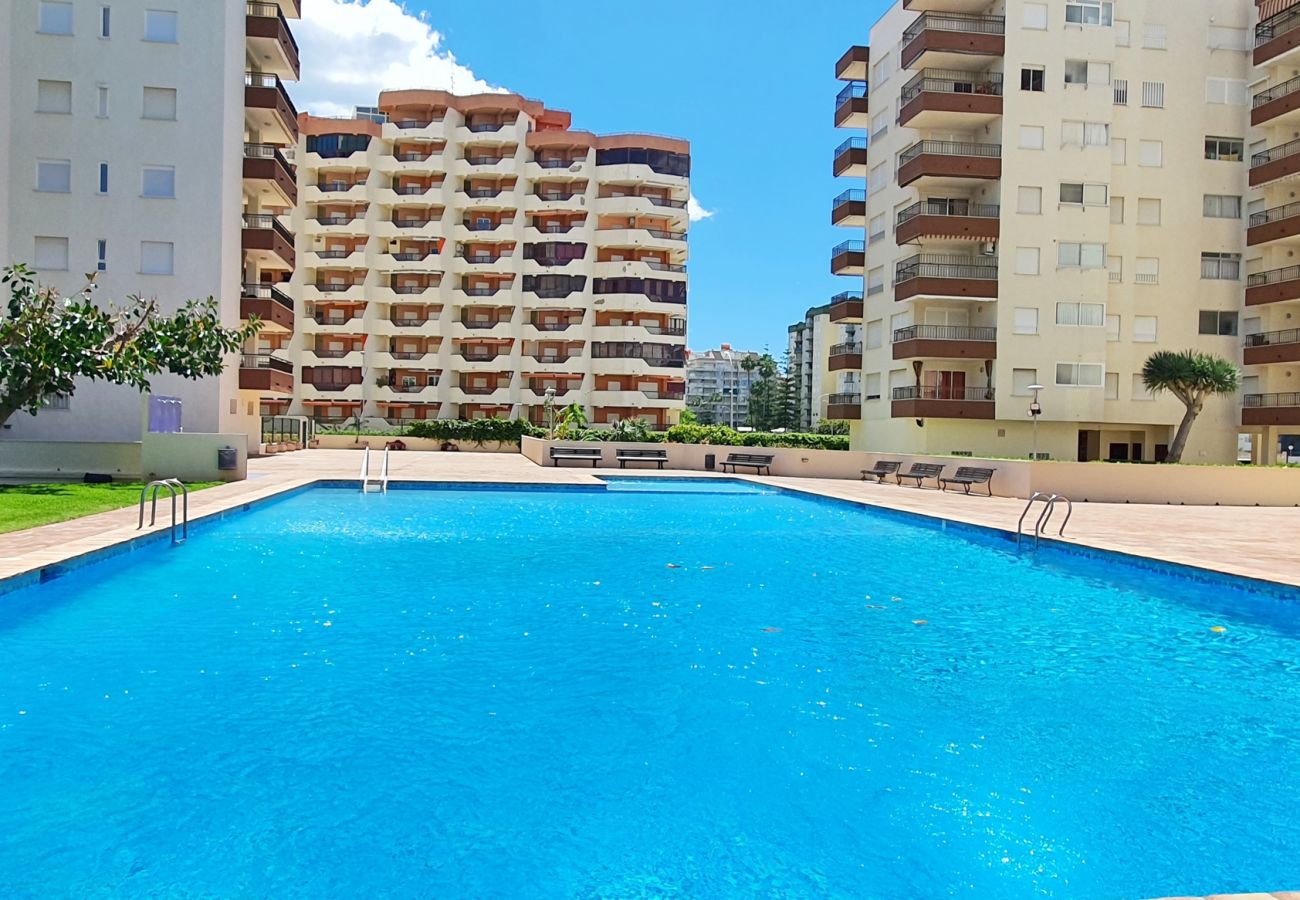 Apartamento en Gandia - GEMINIS Bl-B 3ª - 4º - D    /   PLAYA DE GANDIA