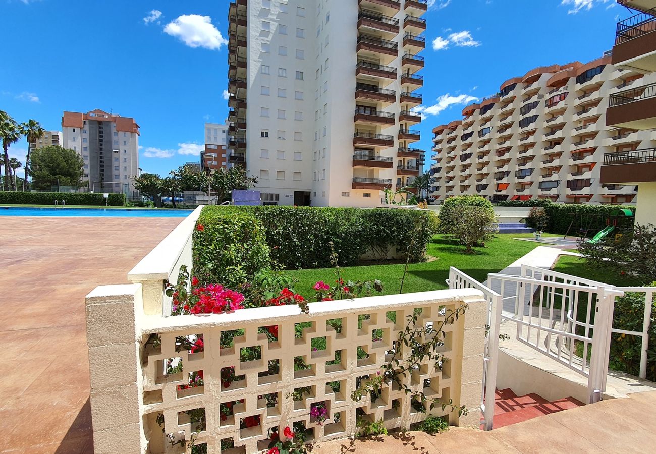 Apartamento en Gandia - GEMINIS Bl-B 3ª - 4º - D    /   PLAYA DE GANDIA