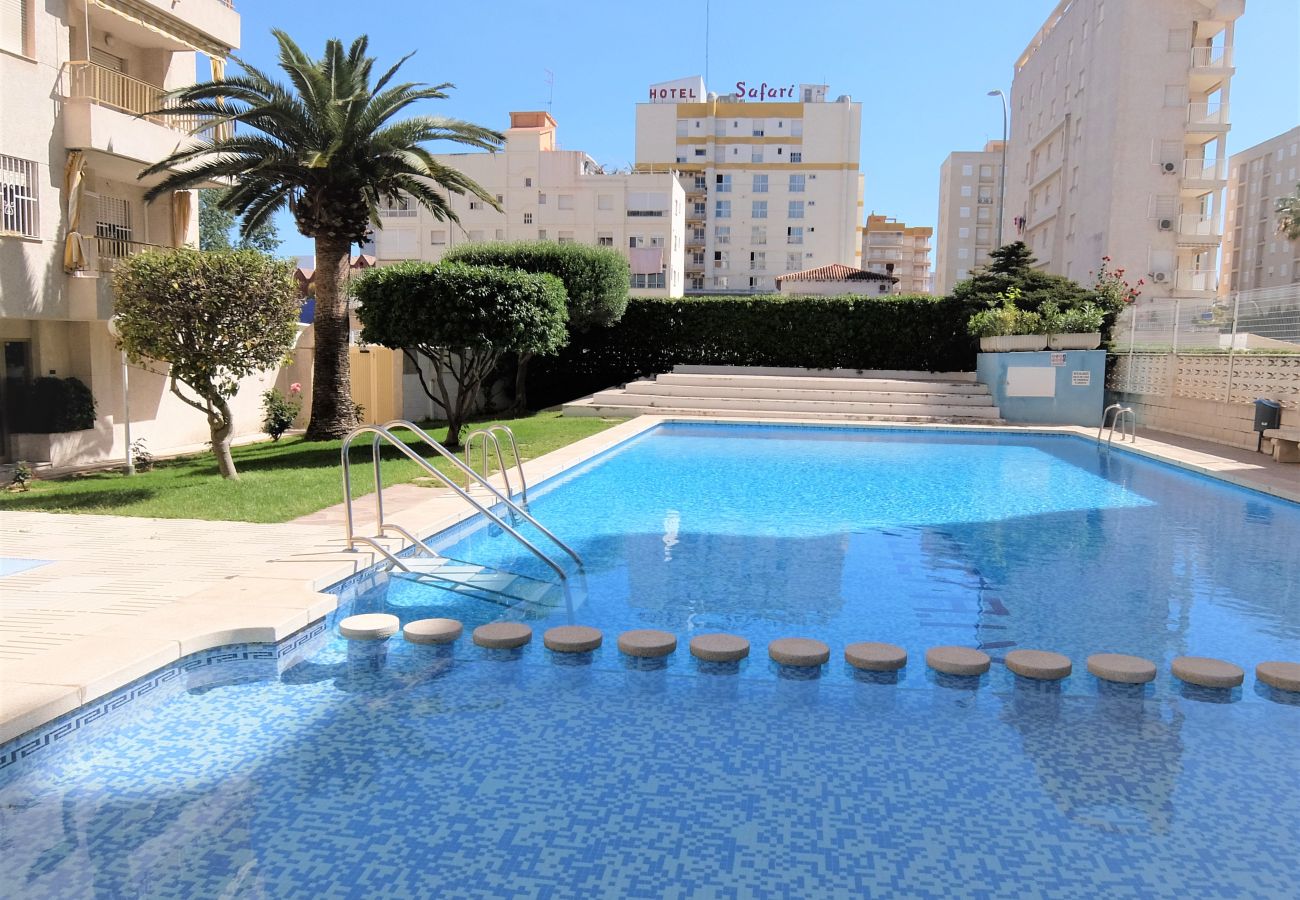 Apartamento en Gandia - GOLETA IV - 3ª - 3º Dcha   /   PLAYA DE GANDIA