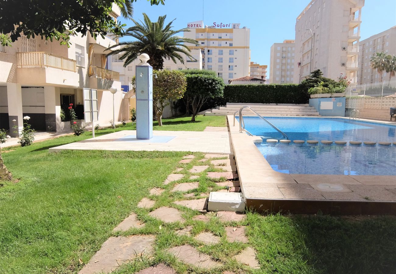 Apartamento en Gandia - GOLETA IV - 3ª - 3º Dcha   /   PLAYA DE GANDIA