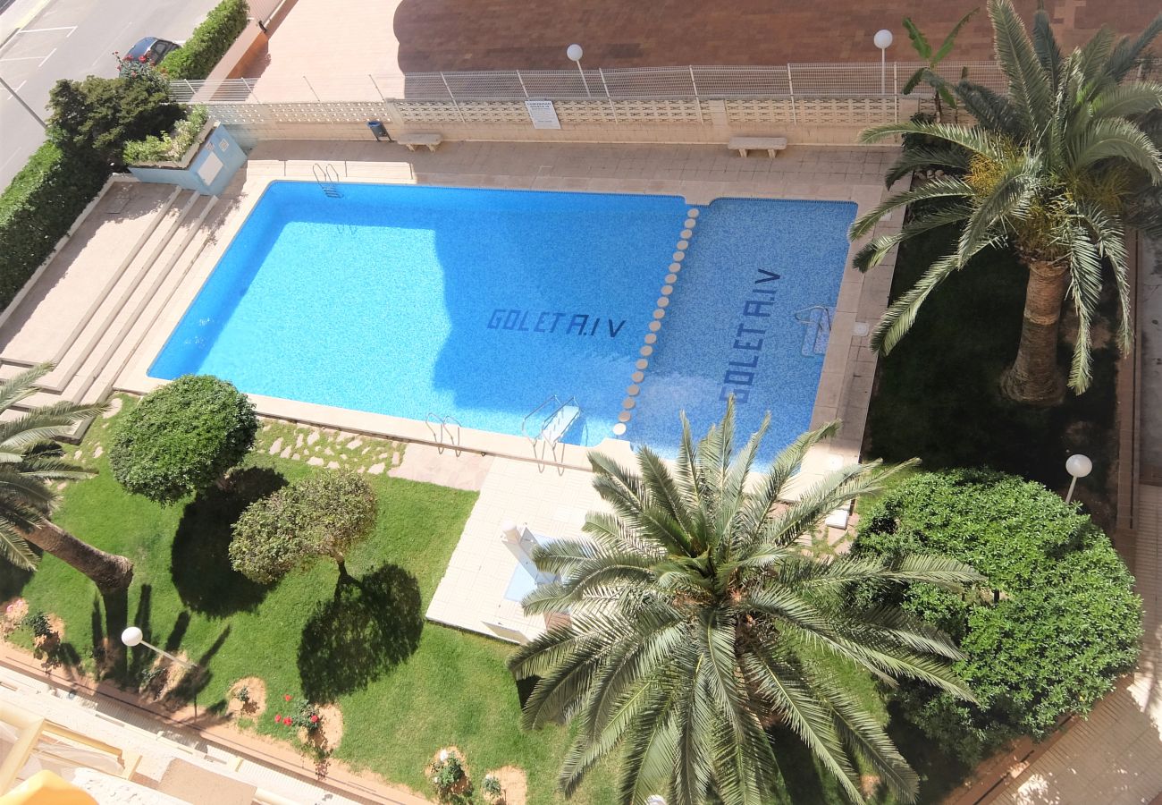 Apartamento en Gandia - GOLETA IV - 3ª - 3º Dcha   /   PLAYA DE GANDIA