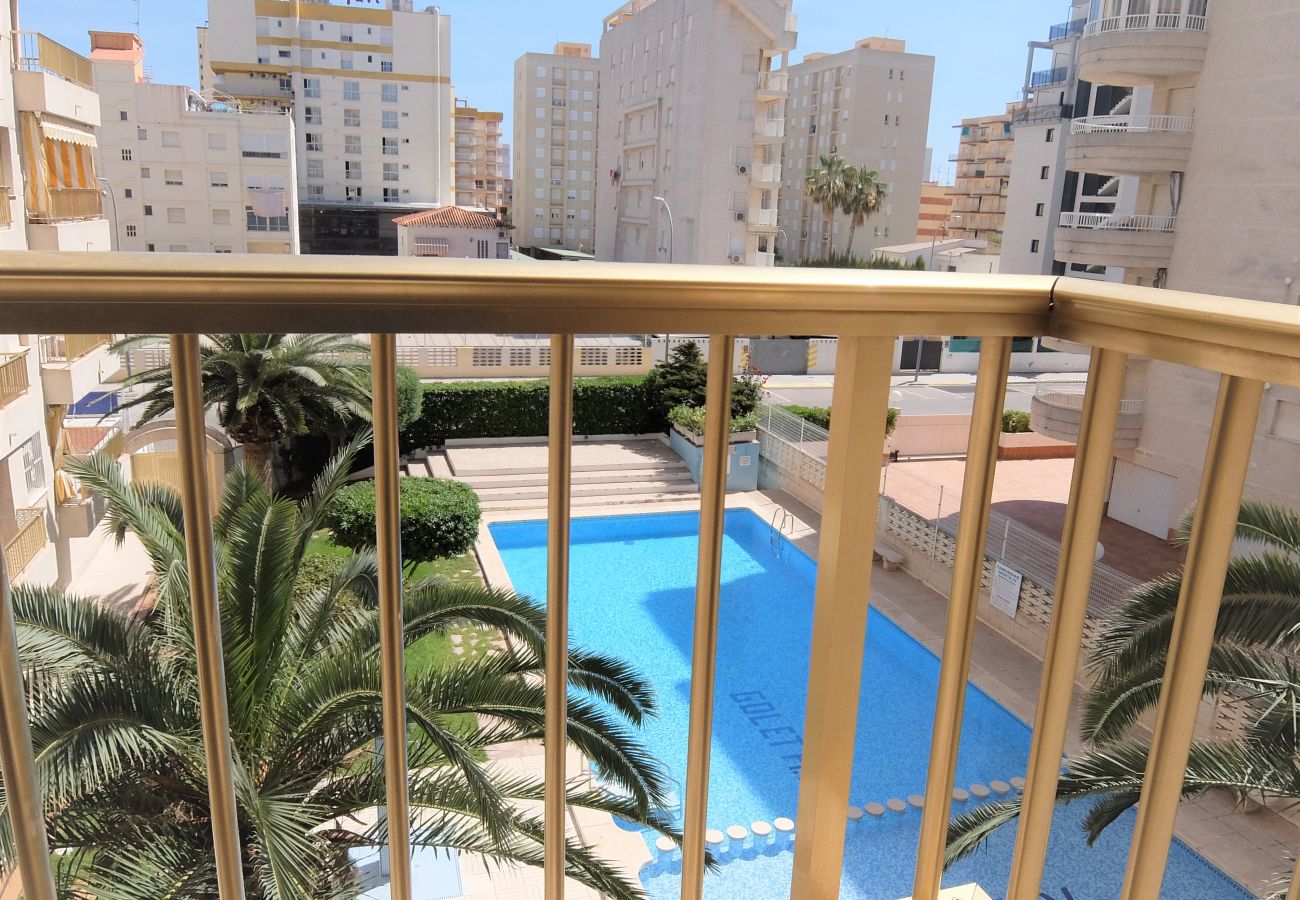 Apartamento en Gandia - GOLETA IV - 3ª - 3º Dcha   /   PLAYA DE GANDIA